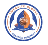Twegaite Global Logo